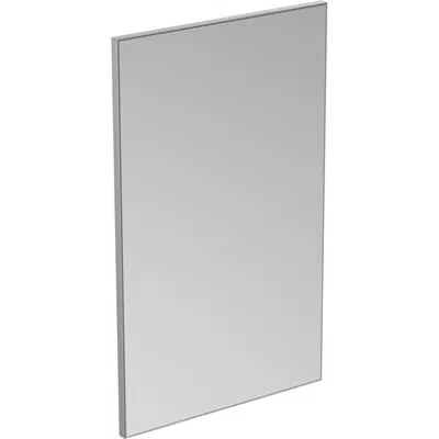 Image for M+L MIRROR LOW H 60X100