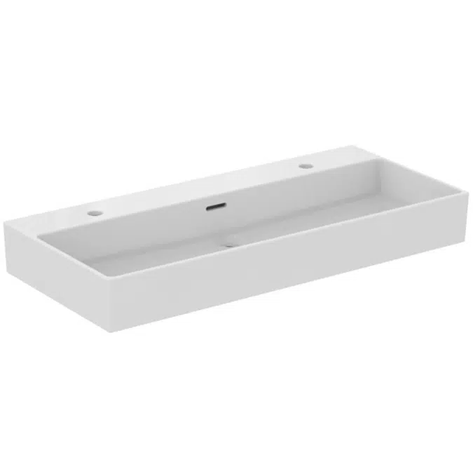 EXTRA BASIN 100 OF 2TH WHITE