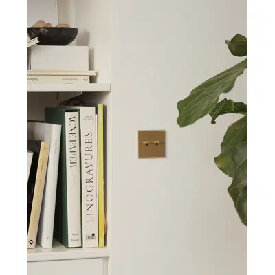 bilde for Confidence collection, single cover plate for switches and sockets