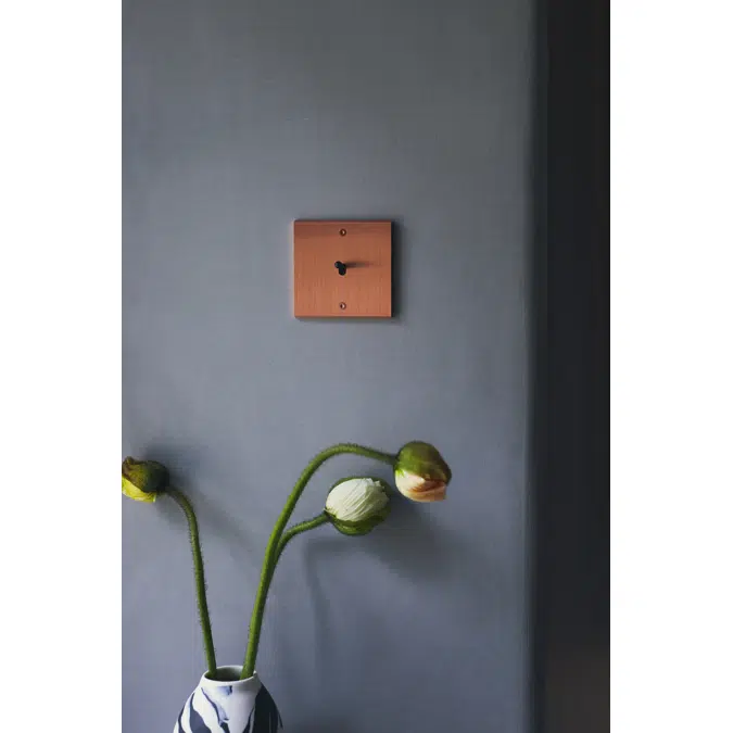 Confidence collection, single cover plate for switches and sockets