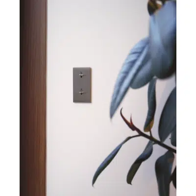 bilde for Confidence collection, double vertical cover plate for switches and sockets 