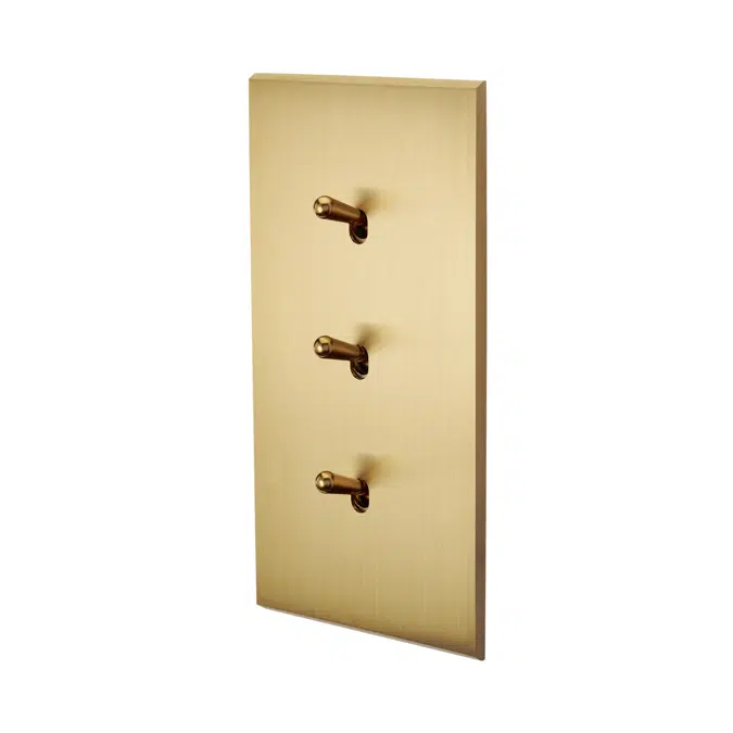Confidence collection, double vertical cover plate for switches and sockets 