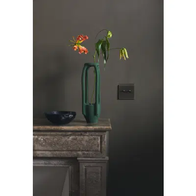 Fascination collection, single cover plate for light switches and sockets图像
