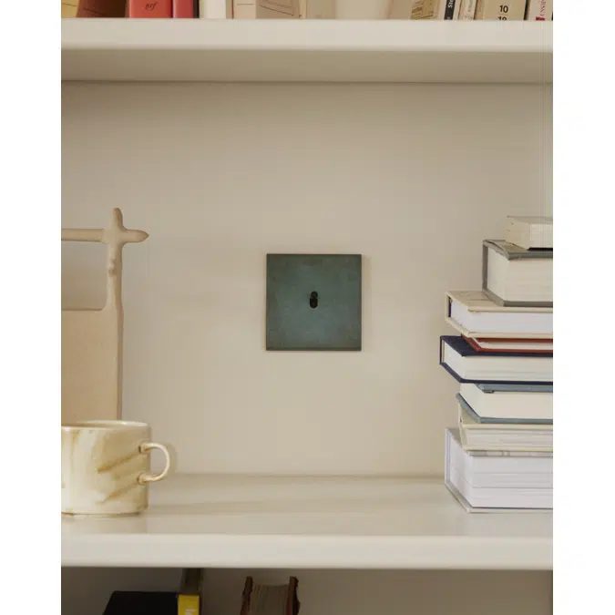 Fascination collection, single cover plate for light switches and sockets