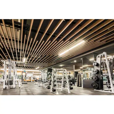 Image pour Interoir Baffle Metal Ceiling Systems - Dauntless Suspended Ceiling System