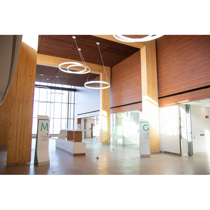 Interior Wall Cladding - Tongue & Groove Planks
