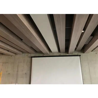 Image pour Interoir Linear Metal Ceiling Systems - Intrepid Beam (Direct Mount)