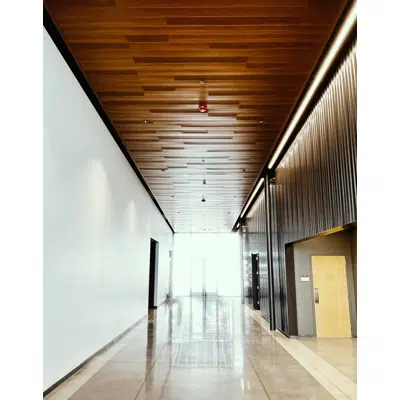 Interior Acoustic Wall & Ceiling Systems - Perforated Planks için görüntü