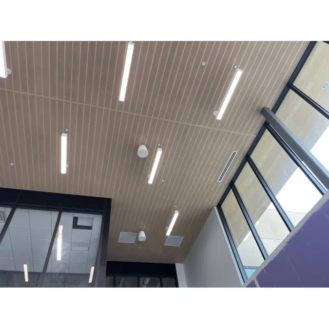 Interior Acoustic Wall & Ceiling Systems - Perforated Planks