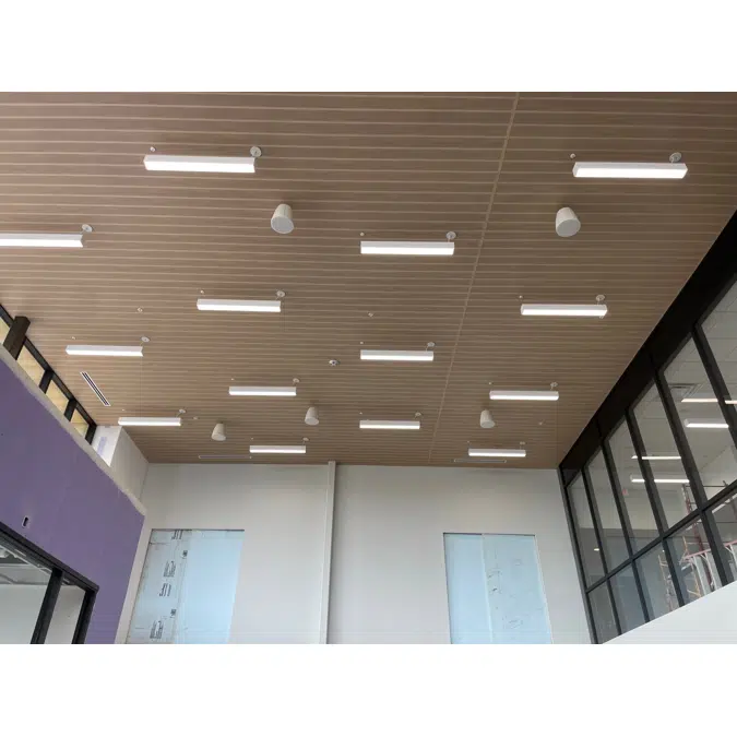 Interior Acoustic Wall & Ceiling Systems - Perforated Planks