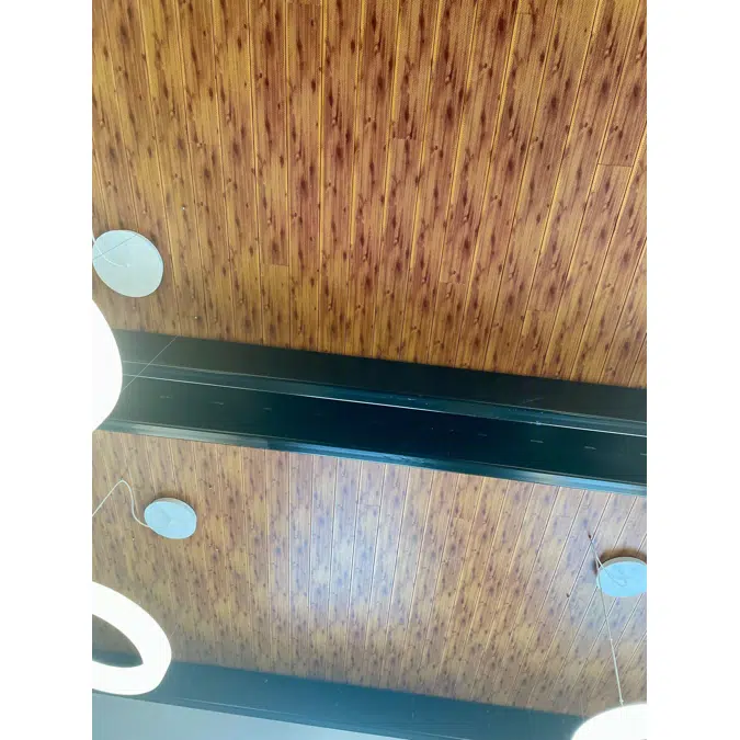 Interior Acoustic Wall & Ceiling Systems - Perforated Planks