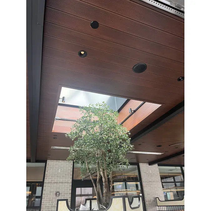 Interior Acoustic Wall & Ceiling Systems - Perforated Planks