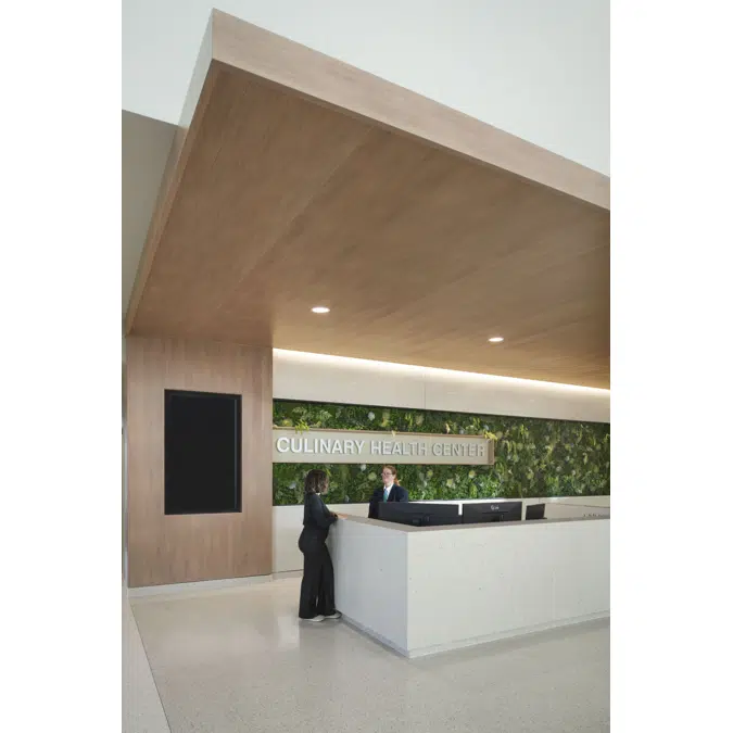 Interoir Linear Metal Ceiling Systems - Endura Linear (Direct Mount)