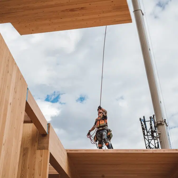 Timberlab Services - Mass Timber Installation