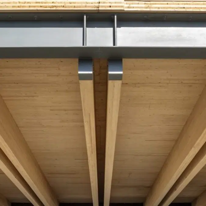 Timberlab - Cross-laminated Timber (CLT)