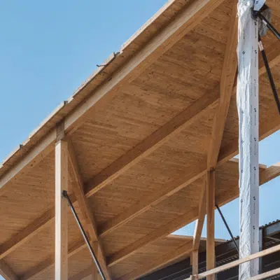 afbeelding voor Timberlab - Cross-laminated Timber (CLT)