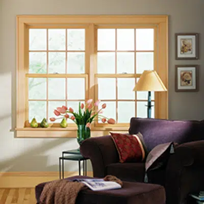 Image pour 200 Series Tilt-Wash Double-Hung Windows