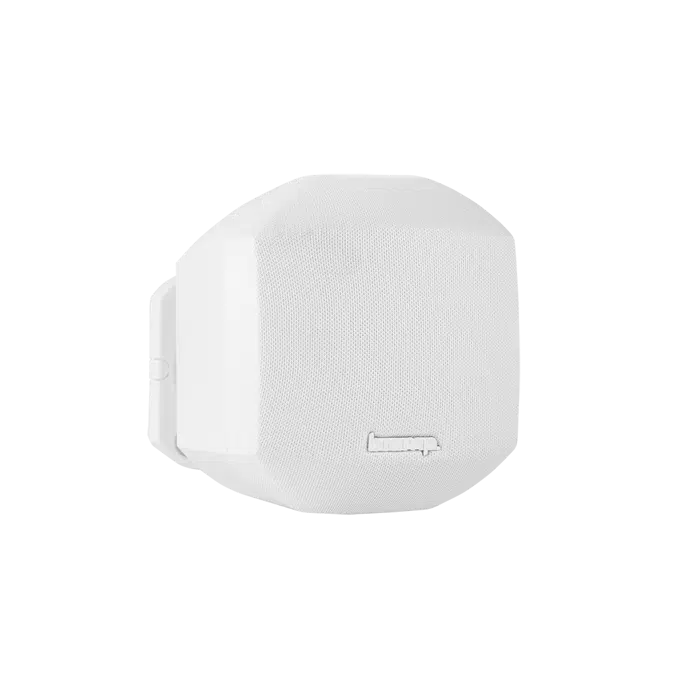 Desono™ MASK2 2.5-Inch Surface Mount Loudspeaker