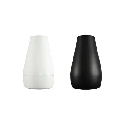 kuva kohteelle Desono™ P6 Two-Way 6.5-Inch Pendant Mount Loudspeaker