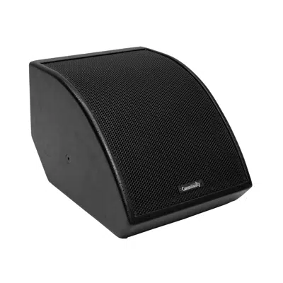 afbeelding voor MX10 M-Class Low Profile 10" Two-Way Full-Range Coaxial Stage Monitor