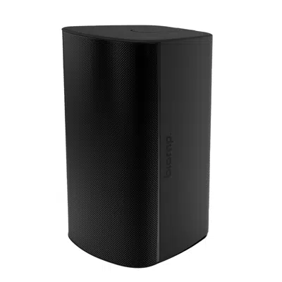 Immagine per Desono™ EX-S10SUB High Output 10" Surface Mount Subwoofer