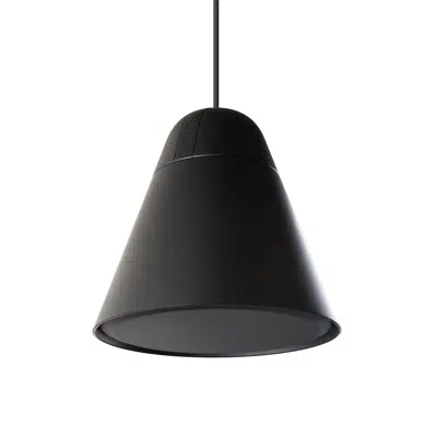 bilde for Desono™ P30DT Two-Way 4.25-Inch Pendant Mount Loudspeaker