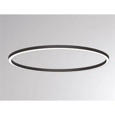 Image for Ride Ring Surface