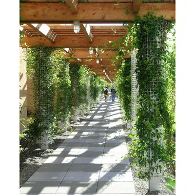 Image for Greenscreen:  Column shaped trellis