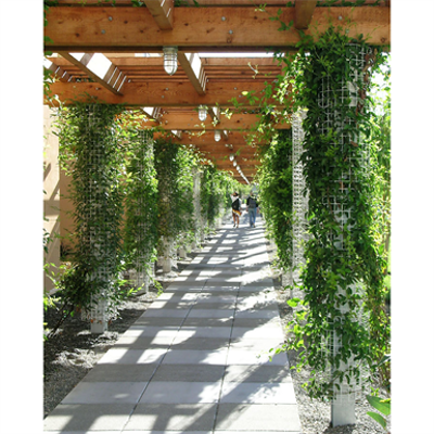 greenscreen®:  Column shaped trellis图像
