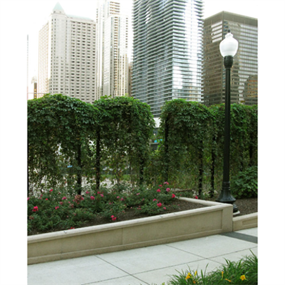 Immagine per greenscreen®:  Freestanding Trellis Fence