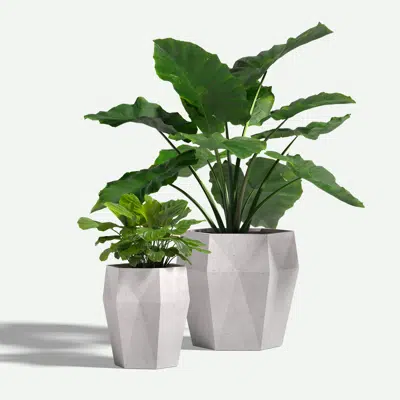 Image for Harlie GFRC Planters