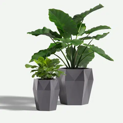 Image for Harlie FRP Planters
