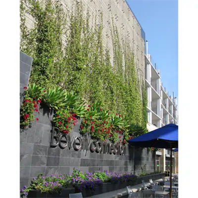 Image for Greenscreen:  Wall mounted green facade wall/trellis