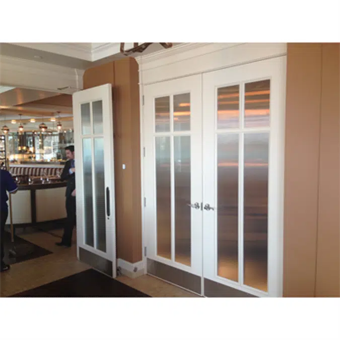 Glass Doors - Custom Panel Design