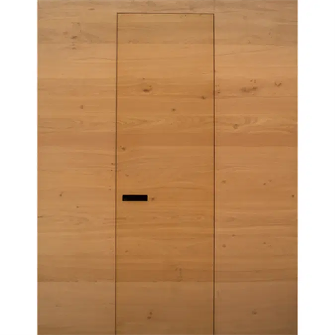 Xinnix Technical Swing Door Systems