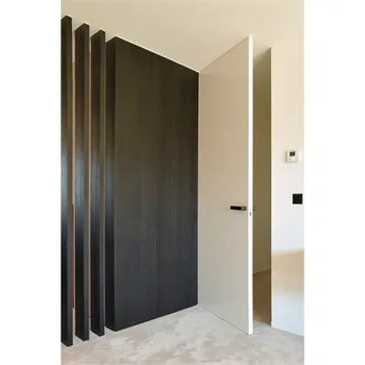 Image for Xinnix Swing Door Systems