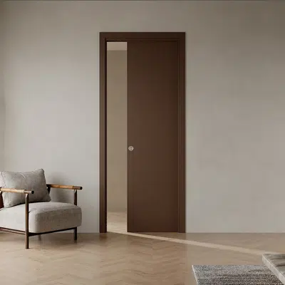 Image pour EVOLUTION SIMPLE - Porte Coulissante à Galandage Classique