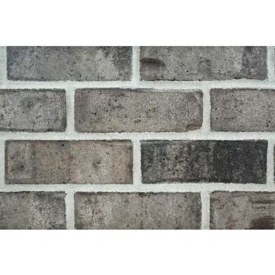 imagem para Sapelo - Georgia Classic Collection