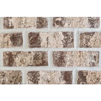 Image for Magnolia - Georgia Classic Collection