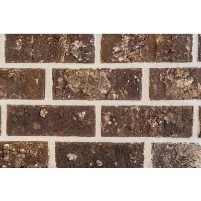 Image for Savannah Gray - Georgia Classic Collection