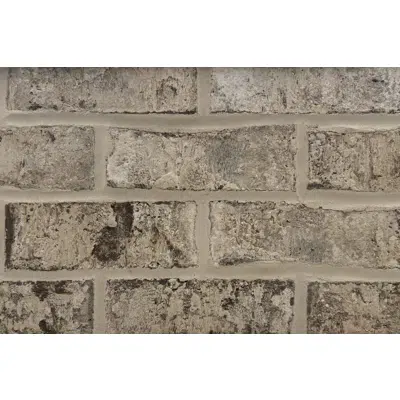 imagem para Magnolia - Mississippi Classic Collection