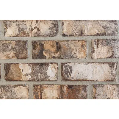 Image for Berkley - Georgia Classic Collection