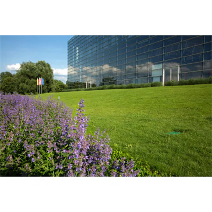 Dorken DELTA extensive green roof system