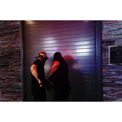 画像 EntryDefender Door