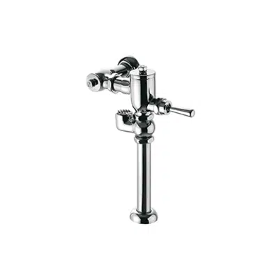 Image pour 17201 Exposed WC Flush Valve