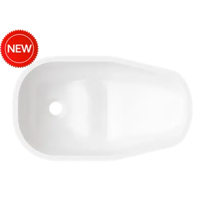 Corian® Lavatory, Care - 5315图像