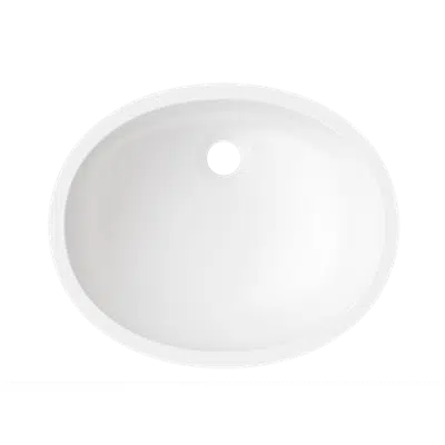 Image for Corian® Lavatory, Accessible - 810P