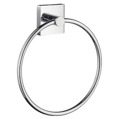 House Towel Ring