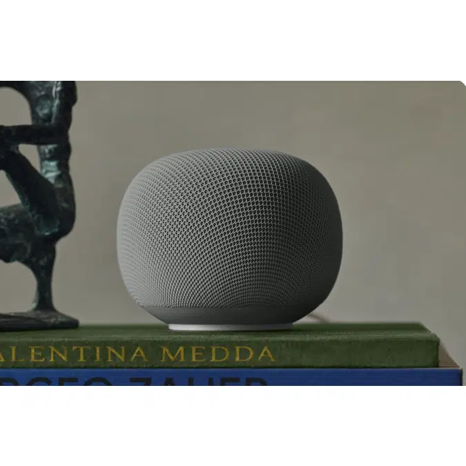 Google Home Speaker