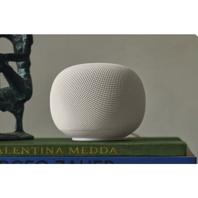Google Home Speaker